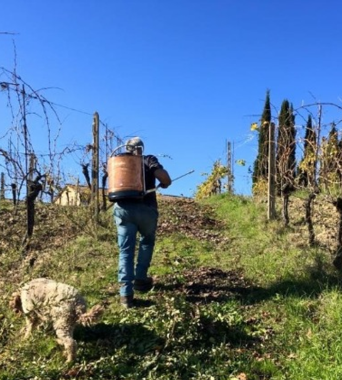 Biodynamic is a Choice - Biodynamic Wine & Products 3 wine tour 17 - La Marronaia - biodynamic