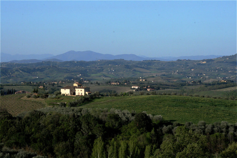 Marronaia