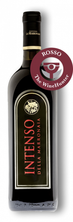 Intenso della Marronaia - Buy online Tuscan Red organic wine. Produced in Tuscany, Italy, shipped everywhere.