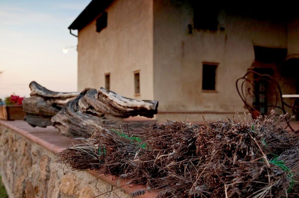 L'aia del podere all'alba