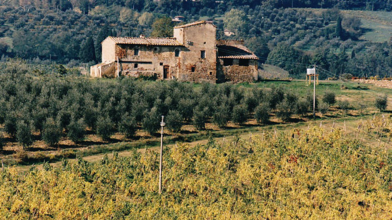 A typical tuscan farmstead before renovations