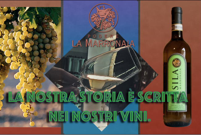 Schermata 2016 09 03 alle 11.30.12 - La Marronaia -