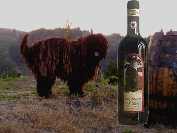 dino2 - La Marronaia -