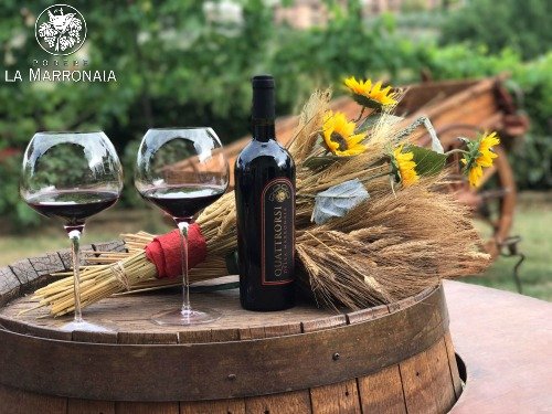 Podere La Marronaia - Biologic & Biodynamic fine Wine from Tuscany, Italy