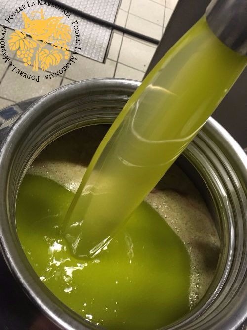 Extra Virgin Olive Oil by Marronaia, San Gimignano, Italy