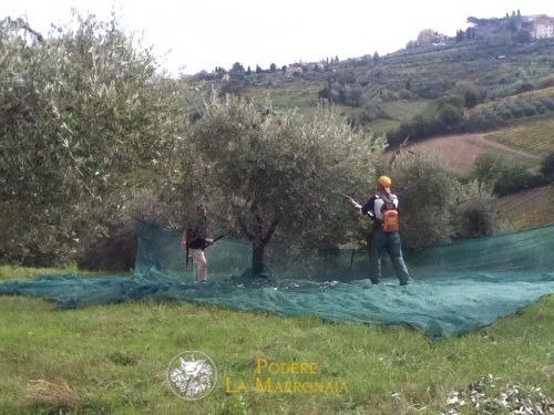raccolta1 res e logo