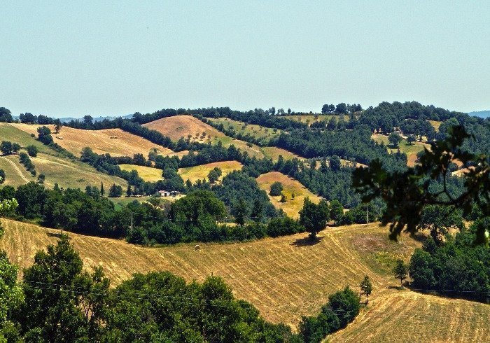 Scansano res