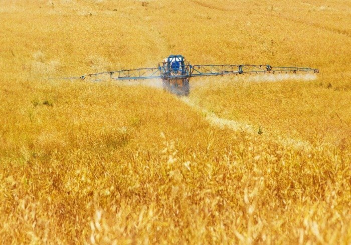 Chemical pesticides on a wheat field