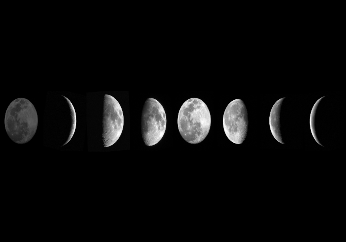 The lunar phases