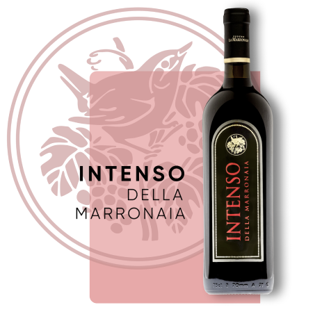 Red Passion 2 INTENSO BIODYNAMIC ITALIAN WINE - La Marronaia -