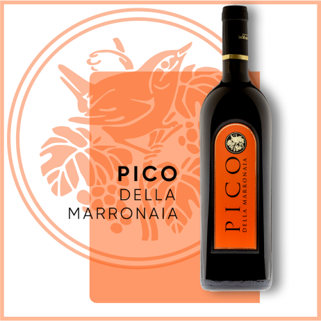 Red Passion 3 PICO BIODYNAMIC ITALIAN WINE - La Marronaia -
