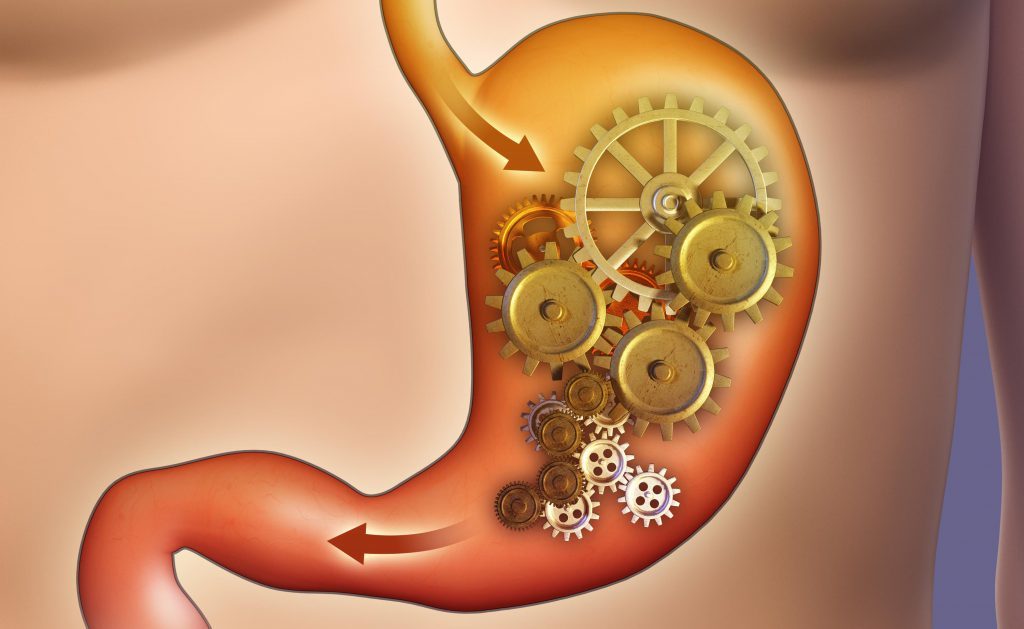 6 alternative uses of Extra Virgin Olive Oil 5 digestione lenta come rimediare - La Marronaia - extra virgin olive oil