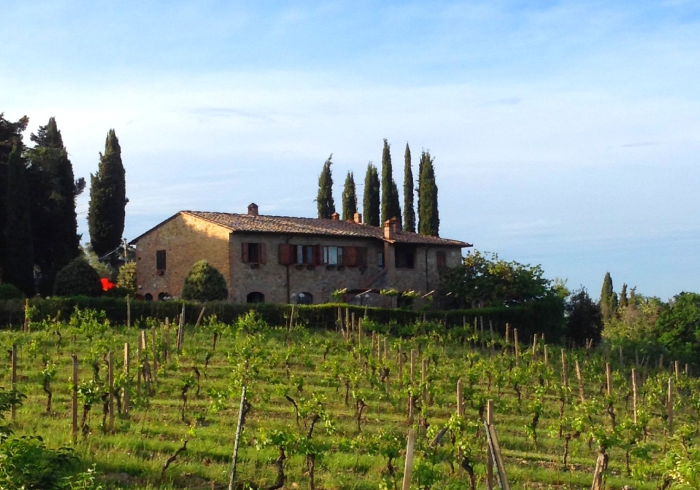 8 Things That You Need to Understand About Biodynamic Agriculture 4 biodynamic 3 - La Marronaia -