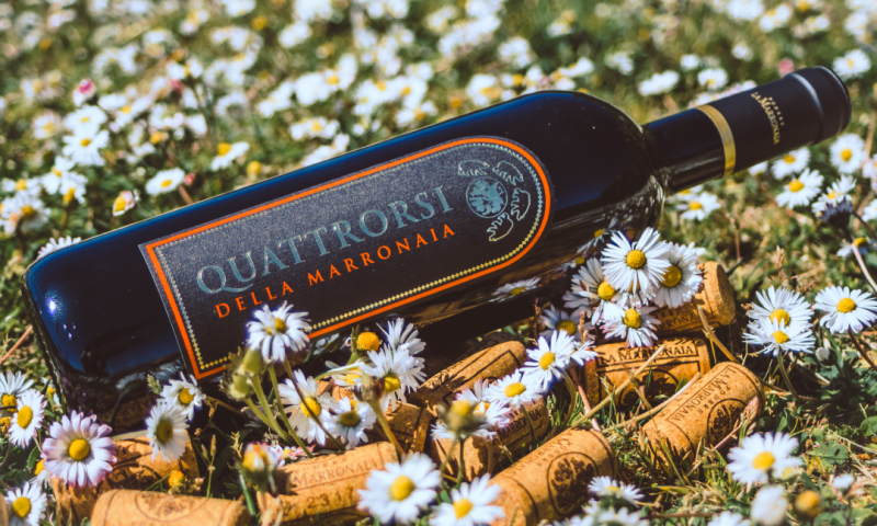 quattrorsi-supertuscan-la-marronaia-winery