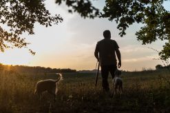 Tasting Tuscany, Tuscan Wine Tasting, Tuscan Meal, Truffle Lunch & Truffle Hunting
