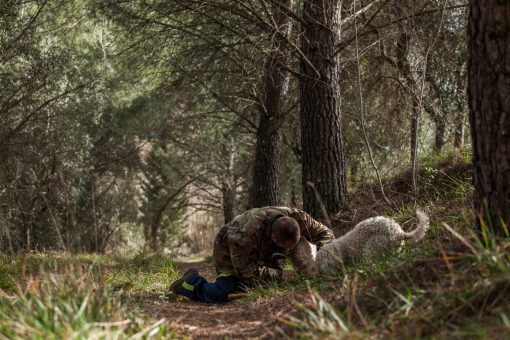 Truffle Cooking class & Truffle Hunting in Tuscany