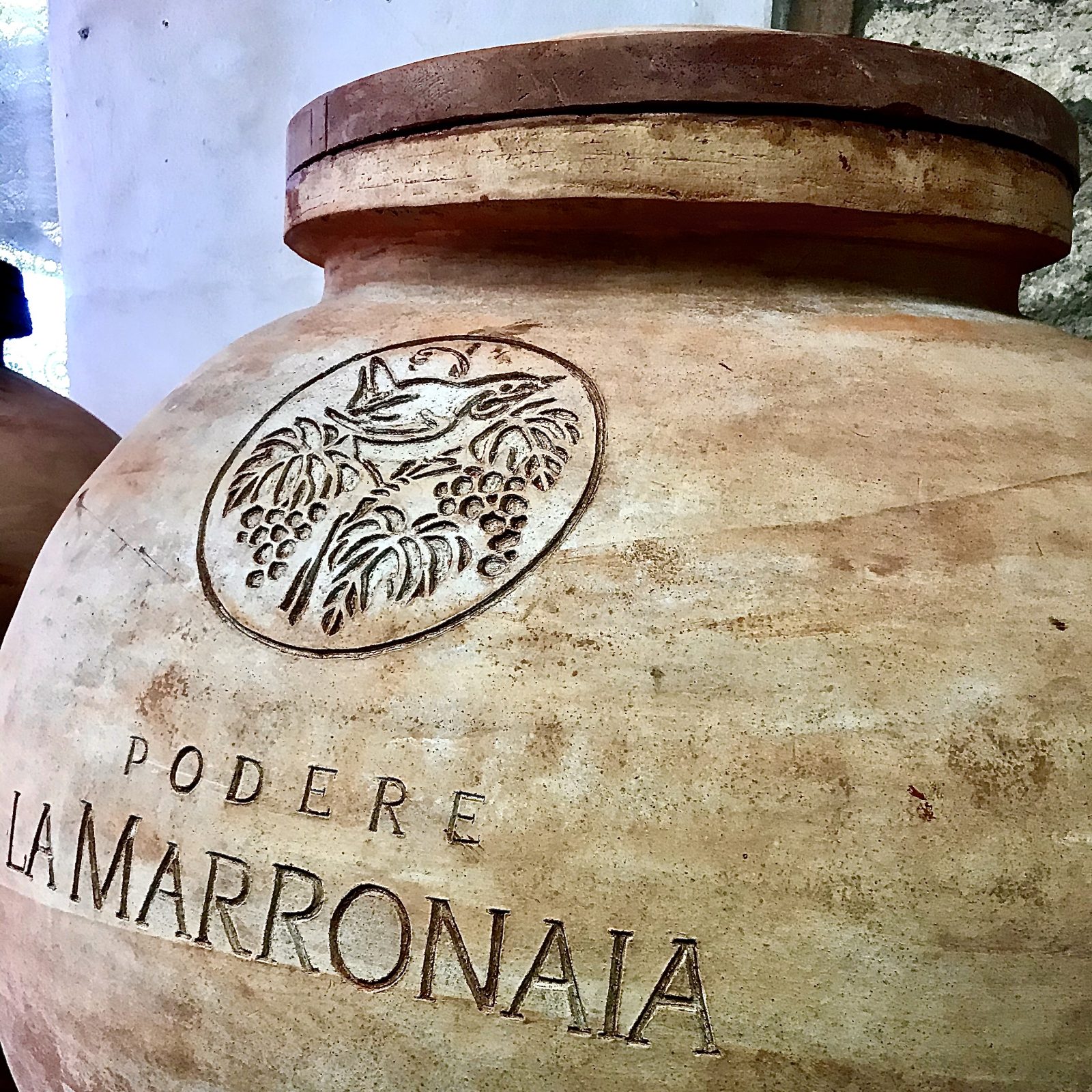 Amphora Wine - At The Origins Of Innovation