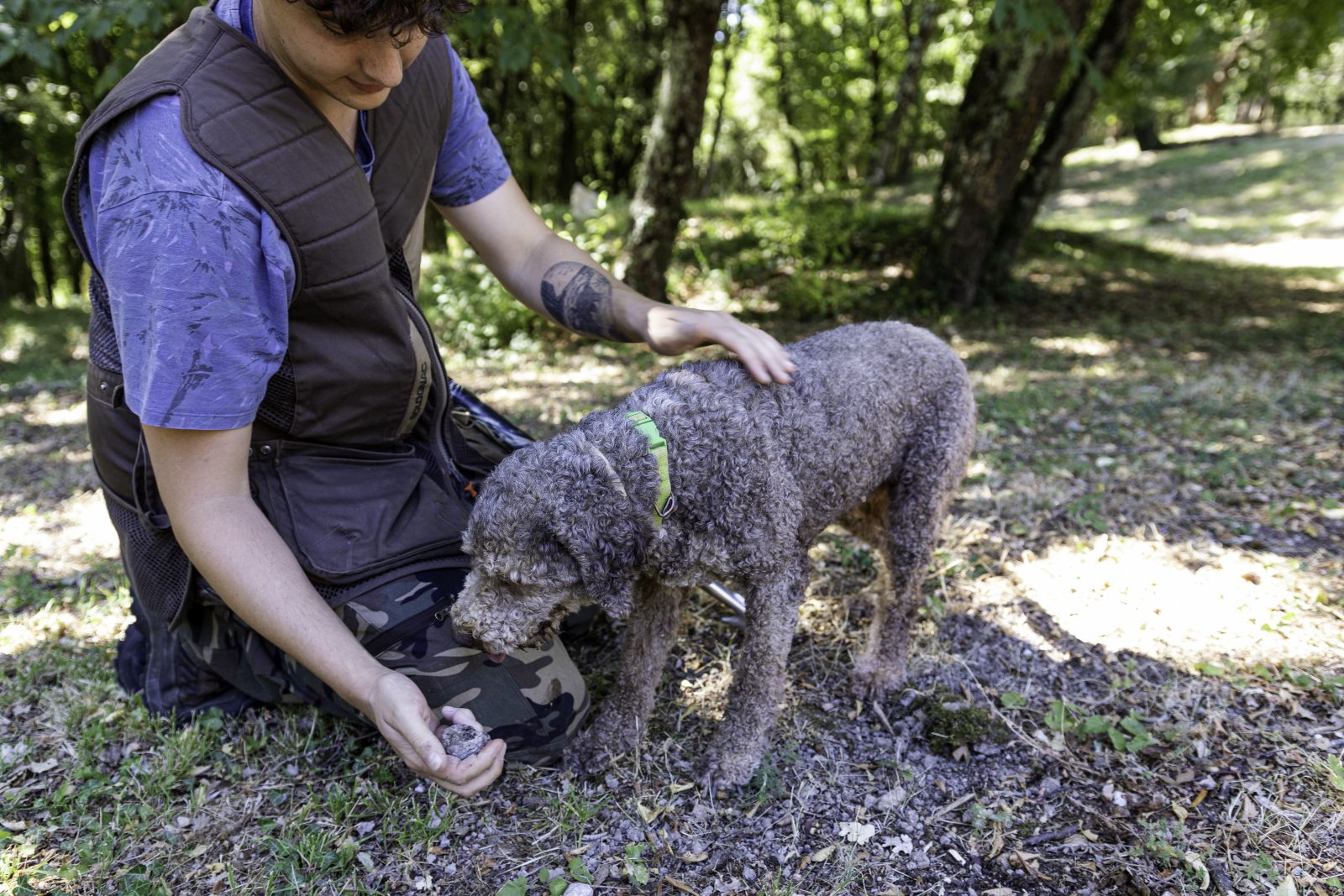 Truffle Lunch & Hunting 1 R7A5012 - La Marronaia - truffle lunch