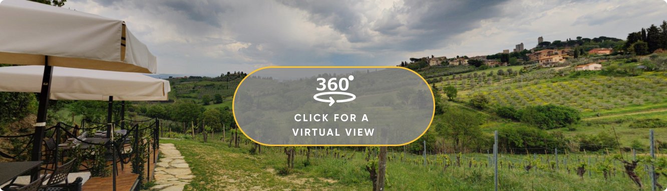 San Gimignano Merenda Break Wine Tasting in Vineyard