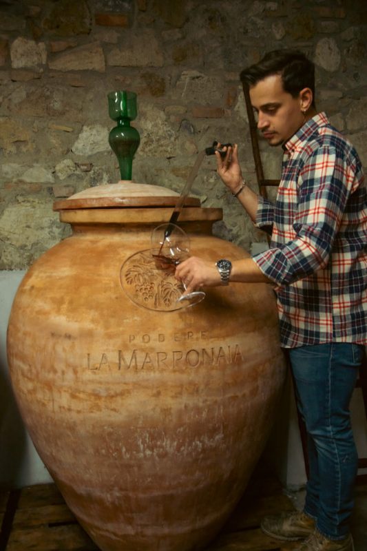 La Marronaia 106 - La Marronaia - san gimignano wine tasting