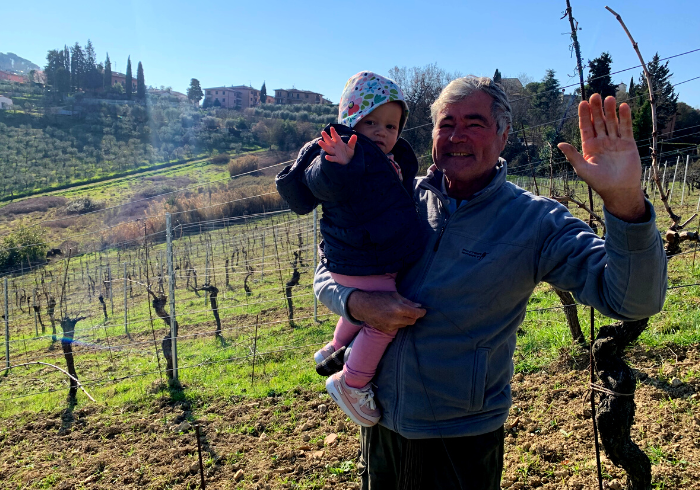 Vine Pruning 2022 - All you have to know, best practices 2 vine pruning podere la marronaia, san gimignano italy