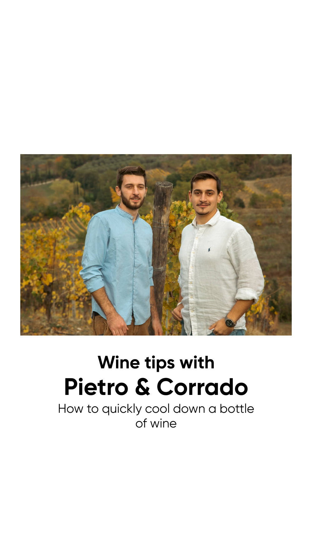 HOW TO QUICKLY COOL DOWN A WINE La Marronaia