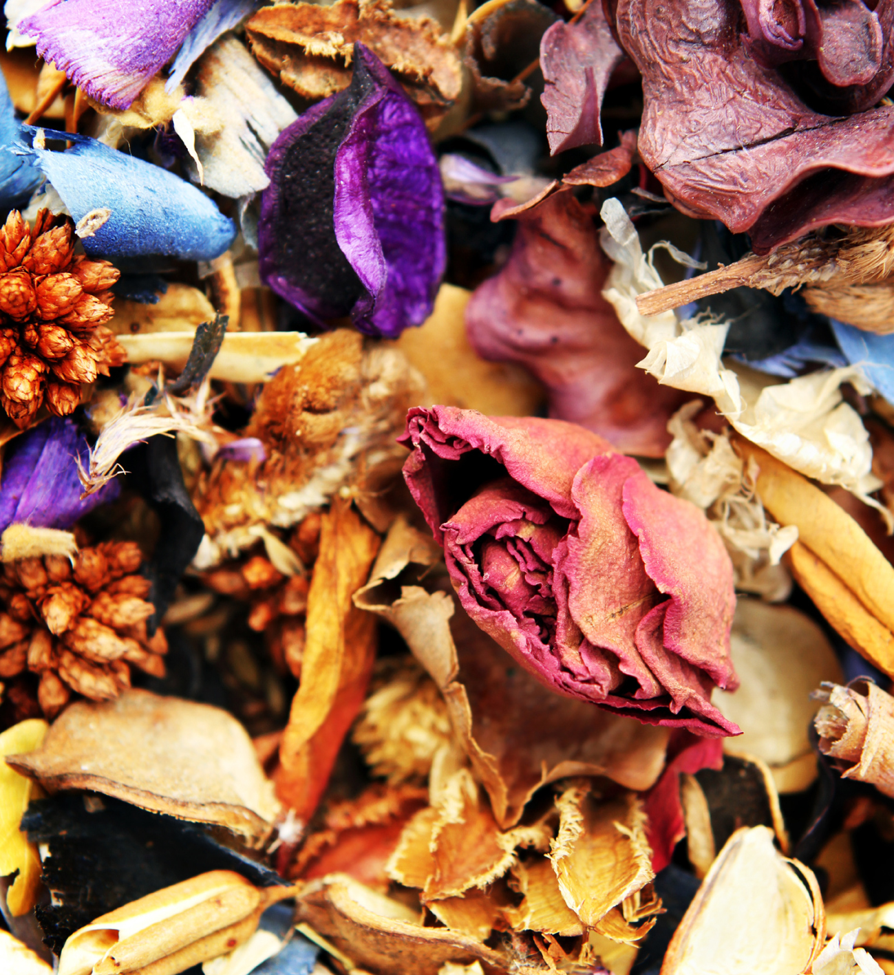 Marronaia's Pot-Pourri 2 Progetto senza titolo 5 - La Marronaia - Pot-pourri