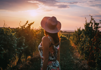 Wine Tasting Etiquette 4 Progetto senza titolo 3 - La Marronaia -