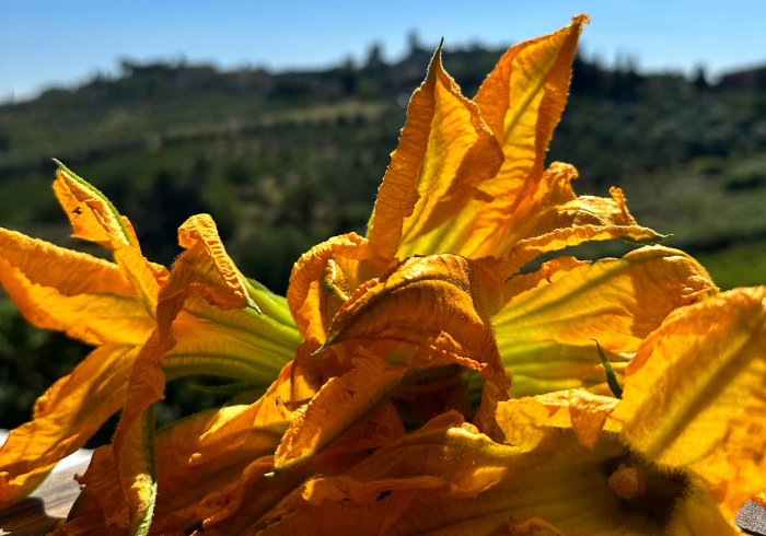 Zucchini Flowers Recipe - 6 Recipes to use the last Zucchini flowers of the season