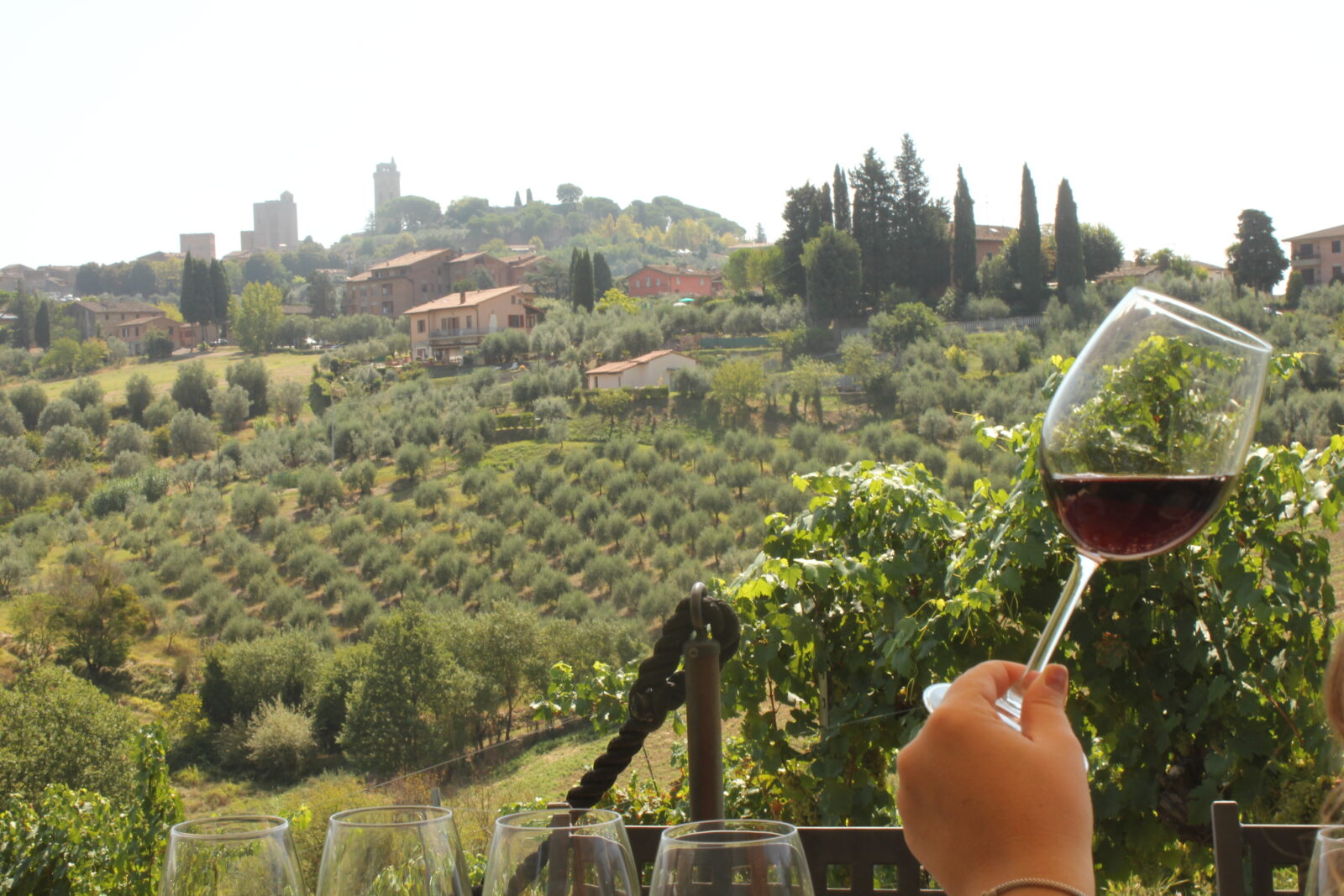 Live the Authentic Soul of Tuscany: The Unique Experiences of Marronaia 3 IMG 6742 - La Marronaia -