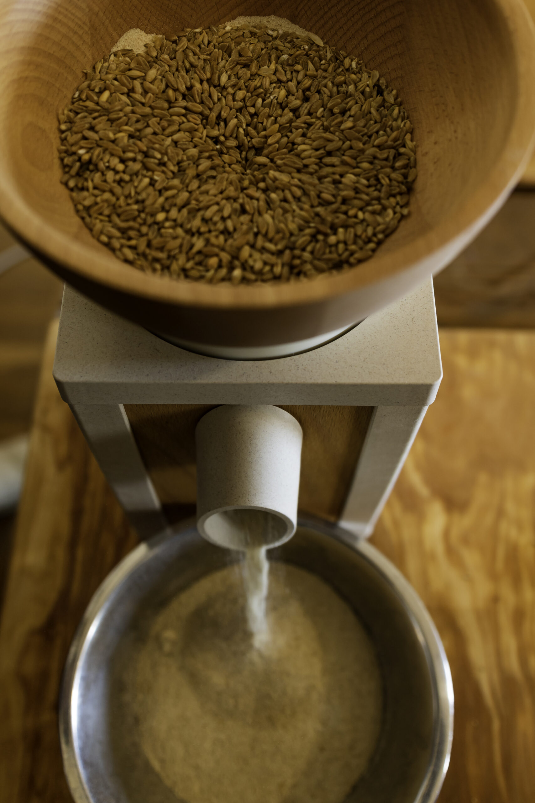Golden Grains: You’re Not Just Cooking. You’re Returning to the Roots. 2 R7A2434 scaled - La Marronaia -