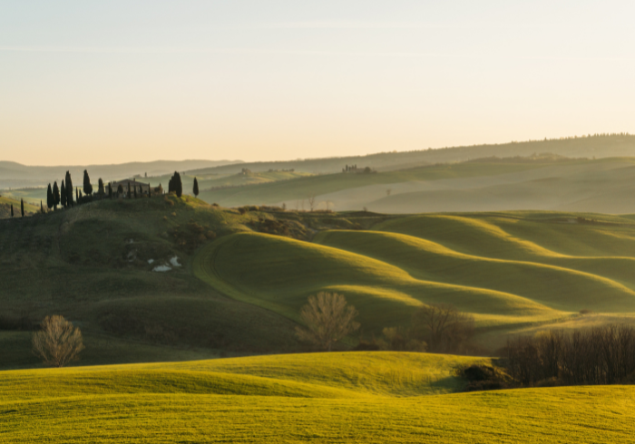 Letter from Tuscany: Discover the Authentic Soul of a Journey through Nature, Wine, and Villages 5 Progetto senza titolo 14 - Podere La Marronaia -