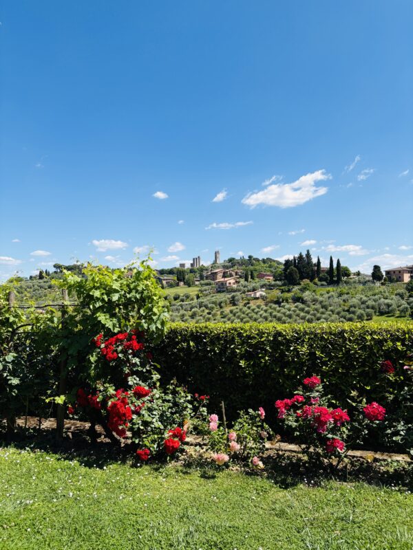 View of San Gimignano from Podere La Marronaia
