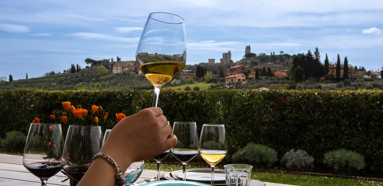 Wine Tasting with a view
